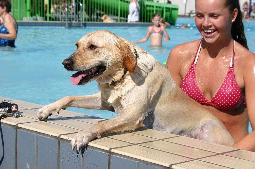 hond en meisje in het buitenbad