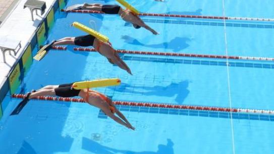 orange cup startende zwemmers , klik voor een vergroting