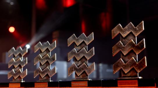 SportAwards prijzen, klik voor een vergroting