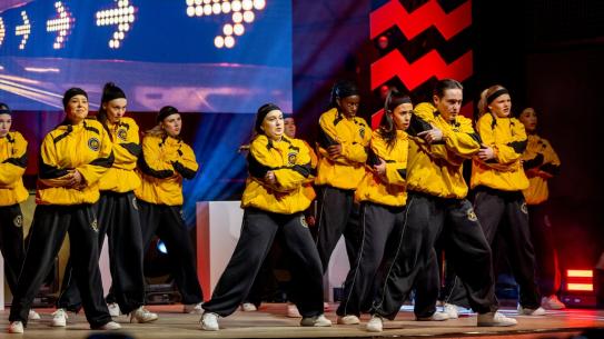 Klik voor een vergroting