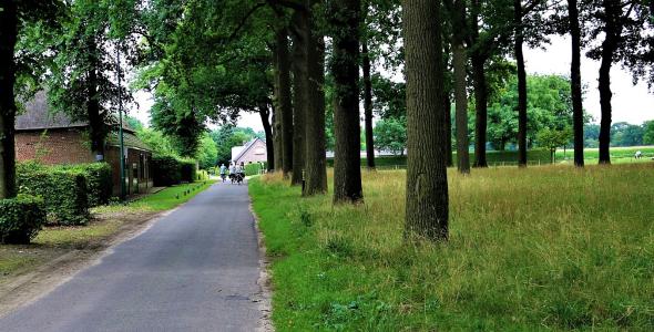 deelnemers aan de Wilhelmina Fiets-4-daagse